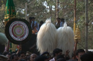 DSC_6974
