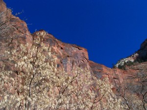 IMG_0997