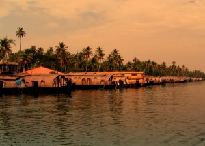 IMG_5984
