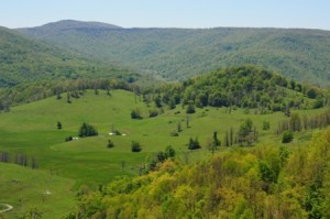West Virginia