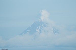 DSC_2324