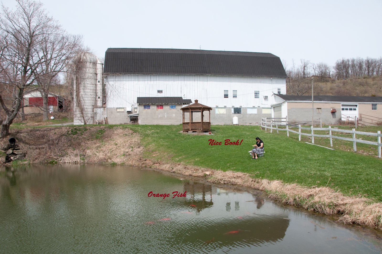 DSC_4941-annotated