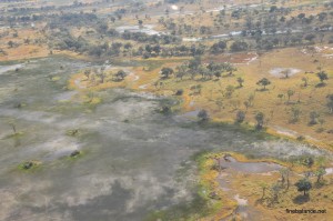 Water coming into the delta