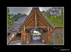 DSC_8246_47_48_49_50_Framed