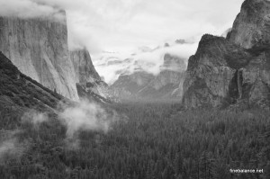 DSC_5327-1