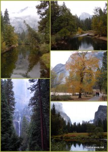Yosemite National Park