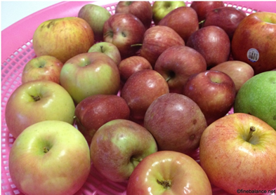 Apple 1
