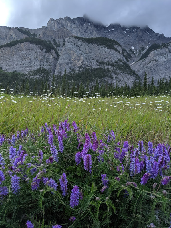 scenery