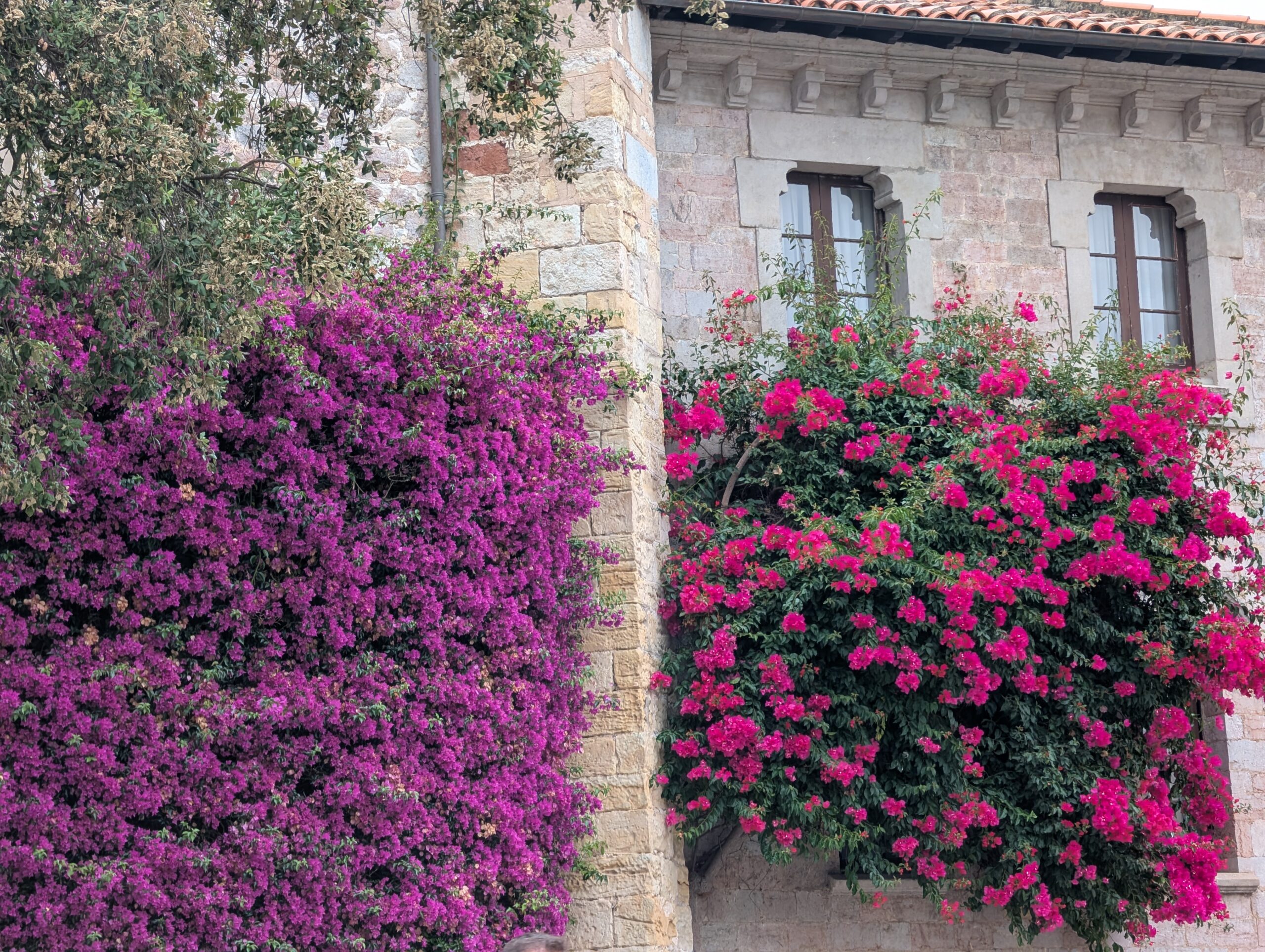 Bilbao & Llanes: A Day of Travel Surprises