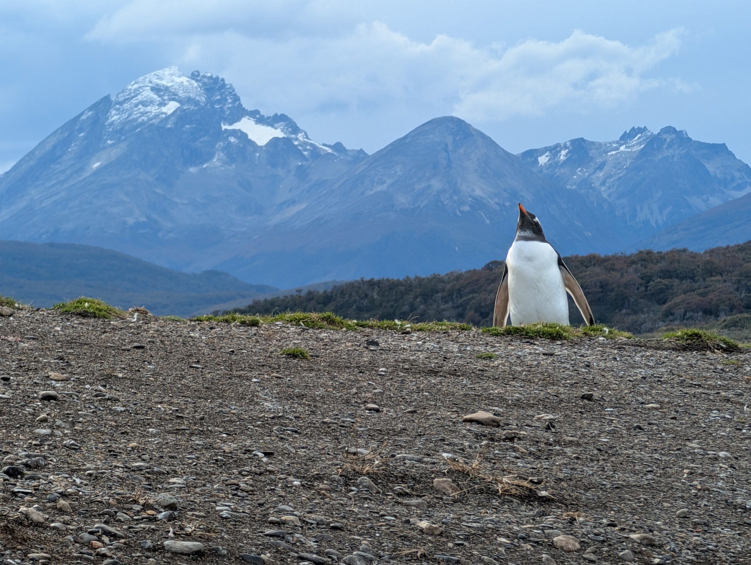 Ushuaia – The End of the World